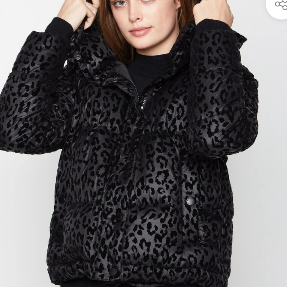 BCBG Generation Hooded Midweight Puffer Jacket S - Picture 2 of 13